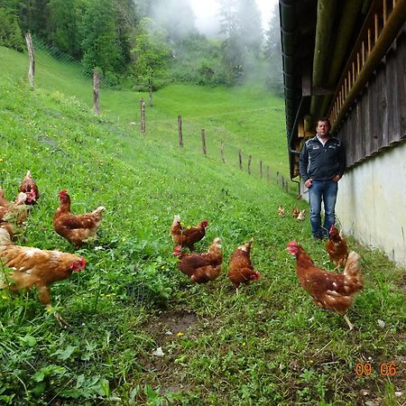 Berghof Burtscher Ludesch エクステリア 写真
