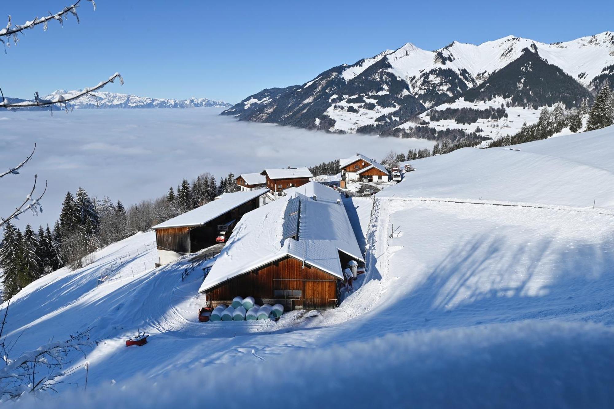 Berghof Burtscher Ludesch エクステリア 写真